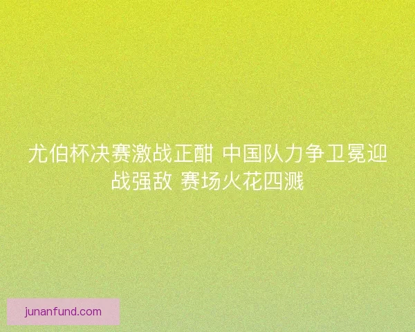 尤伯杯决赛激战正酣 中国队力争卫冕迎战强敌 赛场火花四溅 尤伯杯决赛激战正酣 中国队力争卫冕迎战强敌 赛场火花四溅